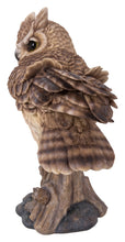 Load image into Gallery viewer, 87717-F - LONG EARED OWL ON STUMP W/FLUFFED FEATHERS - LARGE
