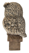 Load image into Gallery viewer, 87717-G - MOTHER &amp; BABY OWL WELCOME SIGN
