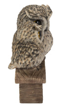 Load image into Gallery viewer, 87717-G - MOTHER &amp; BABY OWL WELCOME SIGN
