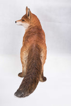 Load image into Gallery viewer, 87719 - FOX WALKING
