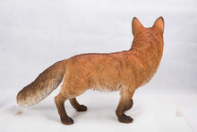 Load image into Gallery viewer, 87719 - FOX WALKING
