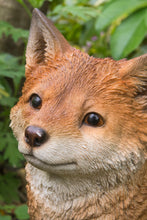 Load image into Gallery viewer, 87719-E - FOX PUP SITTING
