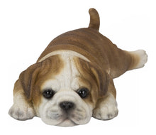 Load image into Gallery viewer, 87722-C - BULLDOG FRIDGE MAGNET
