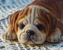 Load image into Gallery viewer, BULLDOG FRIDGE MAGNET
