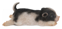 Load image into Gallery viewer, 87722-D - BABY PIG FRIDGE MAGNET
