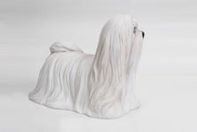 Load image into Gallery viewer, 87722 - DOG-MALTESE
