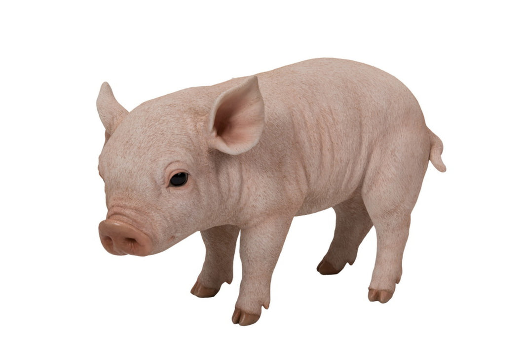 PIG-STANDING BABY PIG