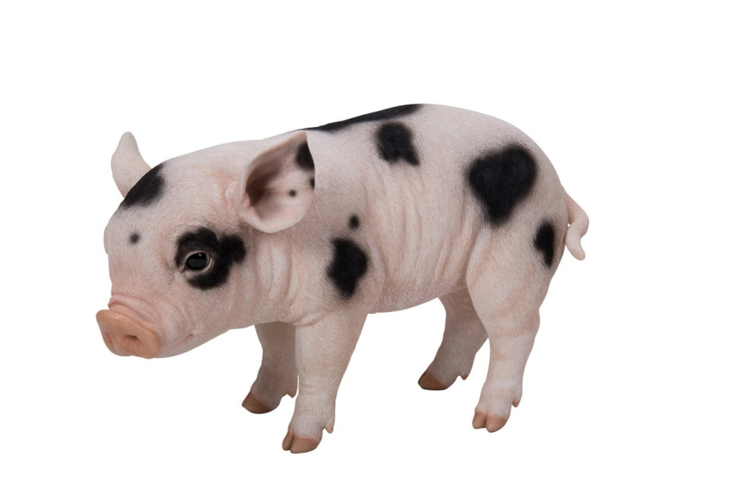 PIG-STANDING BABY PIG W/BLACK SPOTS