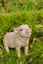 Load image into Gallery viewer, BABY PIG SITTING - PINK
