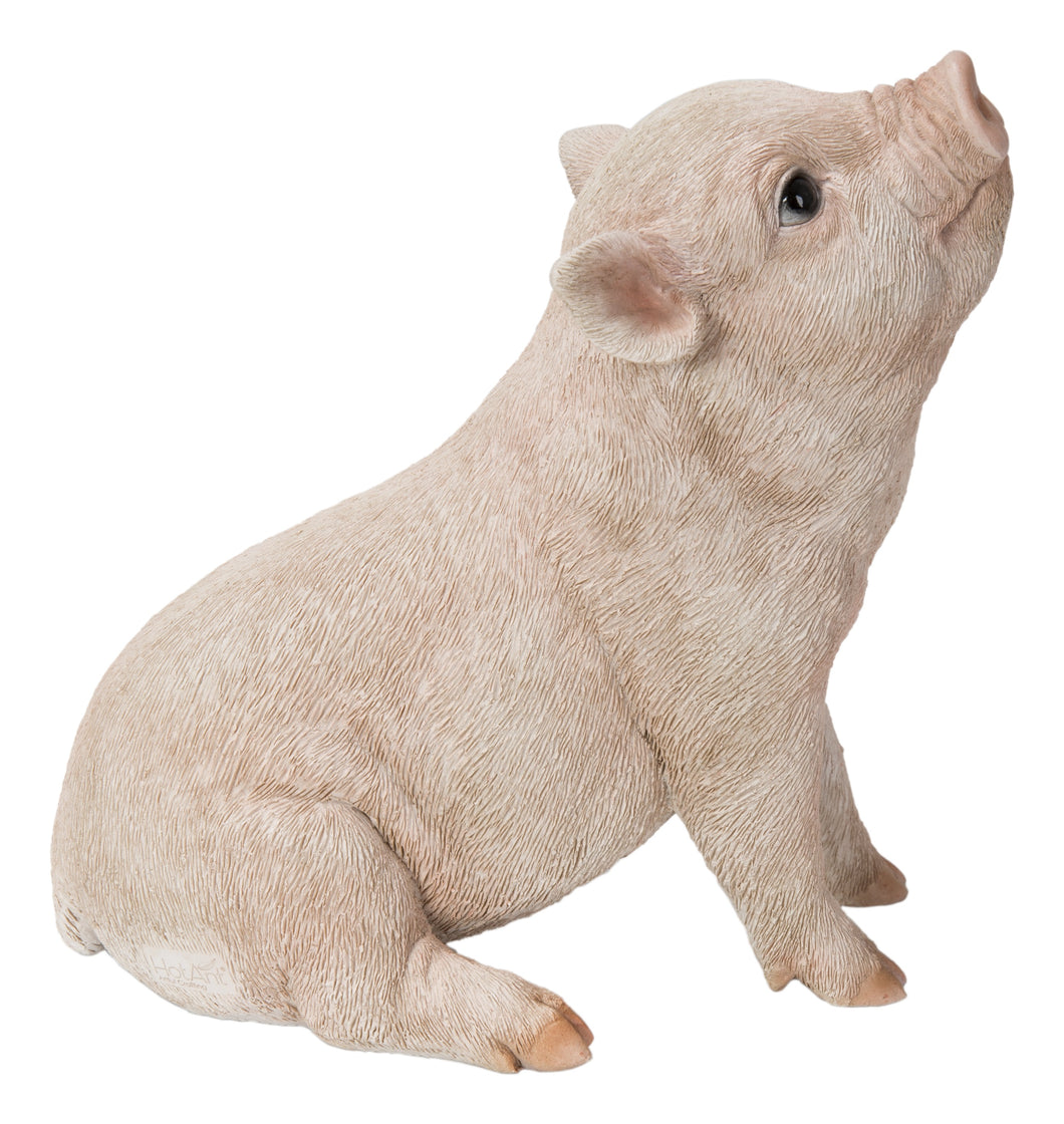 BABY PIG SITTING - PINK