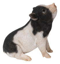 Load image into Gallery viewer, 87726-D - BABY PIG SITTING - BLACK AND WHITE
