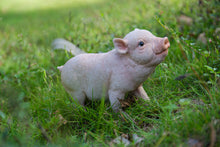 Load image into Gallery viewer, 87726-E - BABY PIG STANDING - PINK
