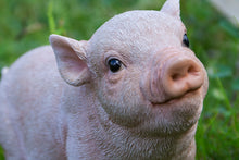 Load image into Gallery viewer, 87726-E - BABY PIG STANDING - PINK
