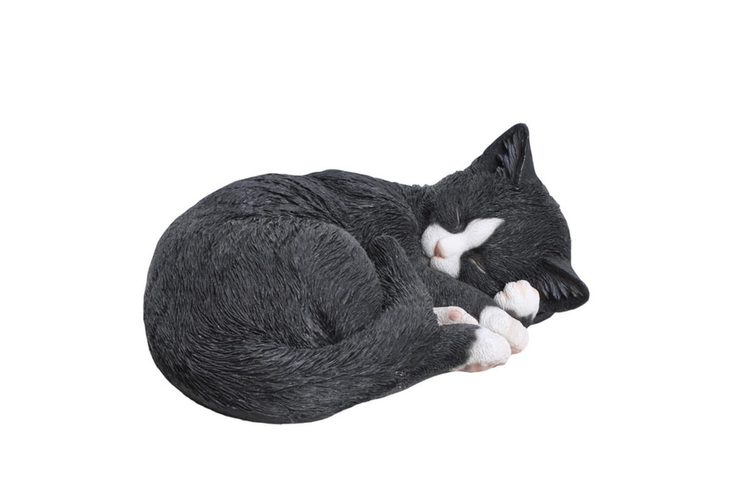 CAT SLEEPING LYING DOWN - BLACK/WHITE