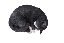 Load image into Gallery viewer, 87728-A - CAT SLEEPING LYING DOWN - BLACK/WHITE
