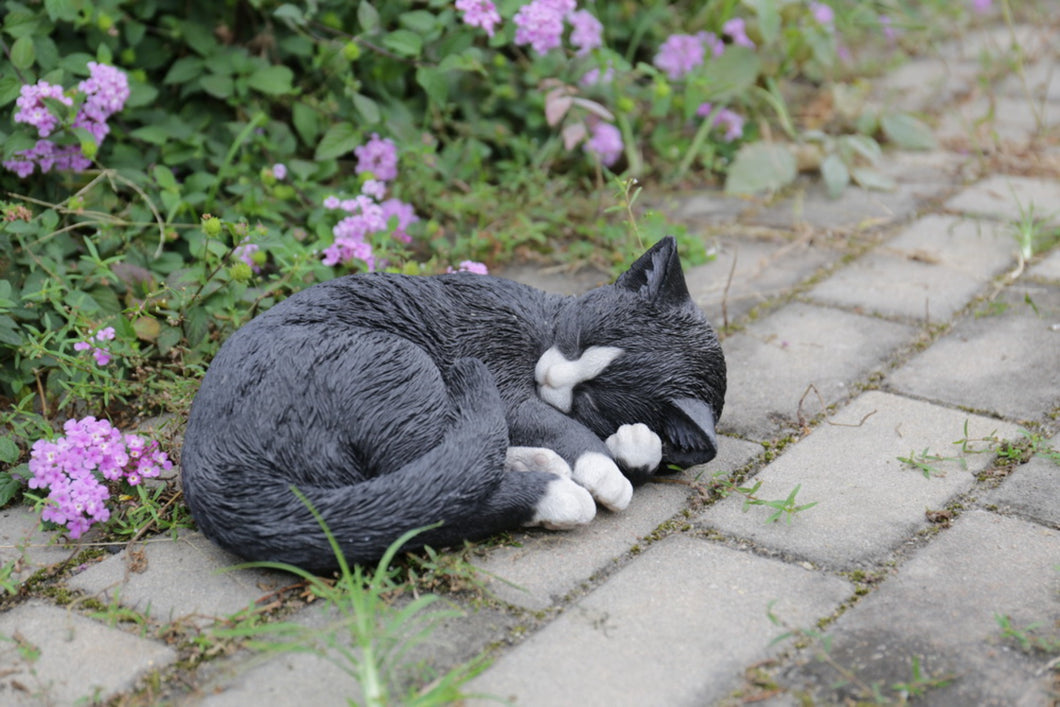 87728-A - CAT SLEEPING LYING DOWN - BLACK/WHITE