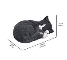 Load image into Gallery viewer, 87728-A - CAT SLEEPING LYING DOWN - BLACK/WHITE
