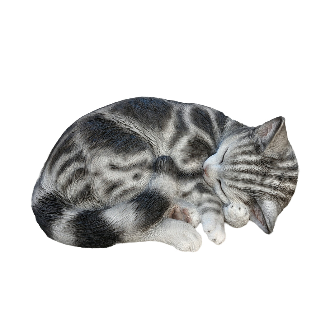 SLEEPING CAT