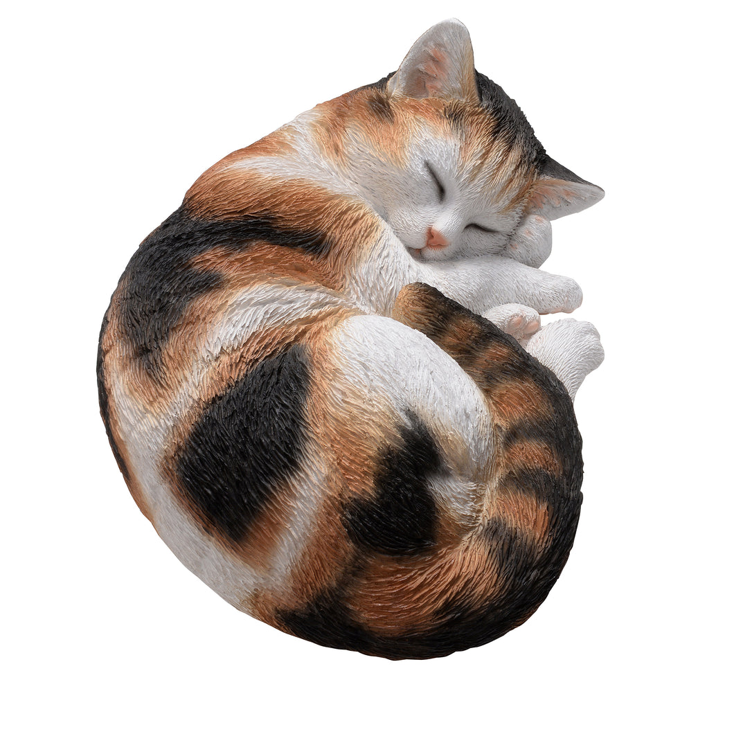 SLEEPING CALICO CAT