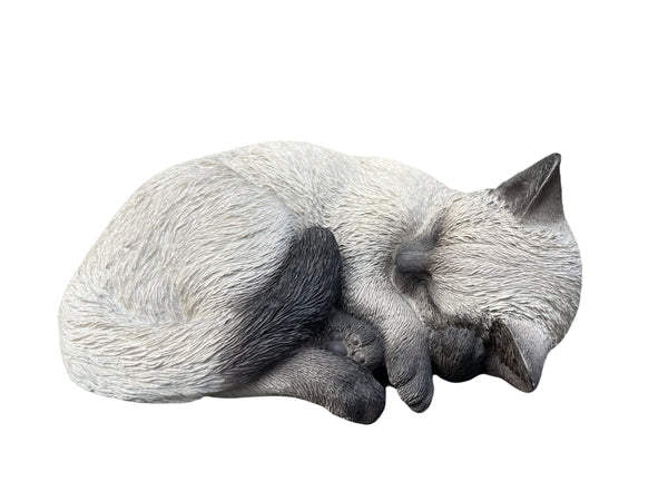 Sleeping Cat