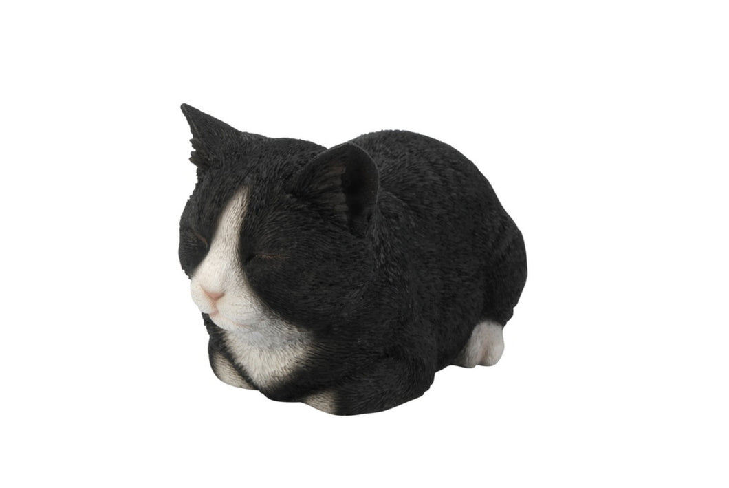 CAT SLEEPING - BLACK/WHITE