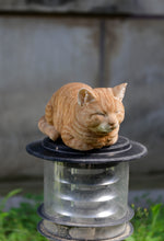 Load image into Gallery viewer, 87729-B - CAT SLEEPING - ORANGE TABBY
