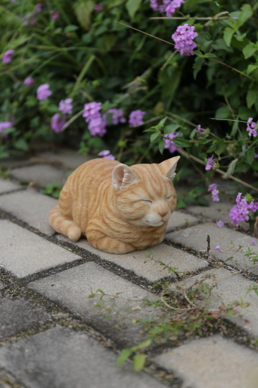 87729-B - CAT SLEEPING - ORANGE TABBY