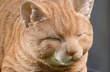 Load image into Gallery viewer, 87729-B - CAT SLEEPING - ORANGE TABBY
