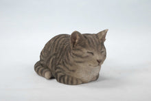 Load image into Gallery viewer, 87729-C - CAT SLEEPING - GREY TABBY
