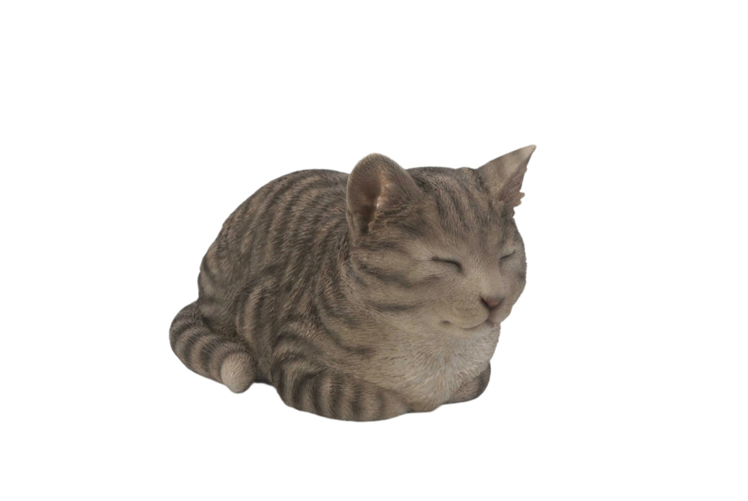 CAT SLEEPING - GREY TABBY