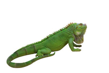 Load image into Gallery viewer, 87731 - LIZARD IGUANA
