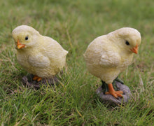 Load image into Gallery viewer, 87736-B - CHICKS - ONE LOOKS LEFT ONE LOOKS RIGHT (2PCS/SET)
