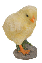 Load image into Gallery viewer, CHICKS - ONE LOOKS LEFT ONE LOOKS RIGHT (2PCS/SET)
