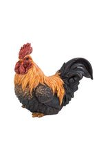 Load image into Gallery viewer, ROOSTER SQUATTING
