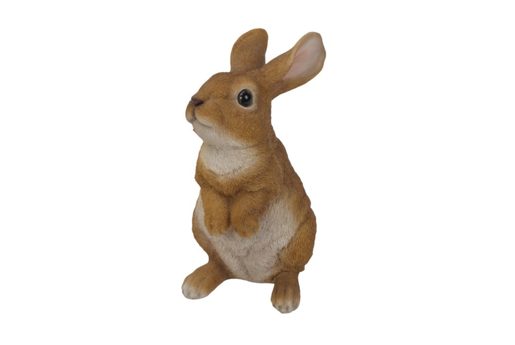 RABBIT STANDING