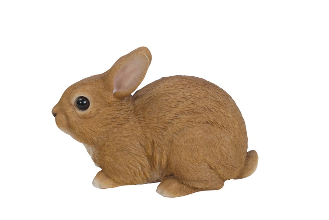 RABBIT SITTING