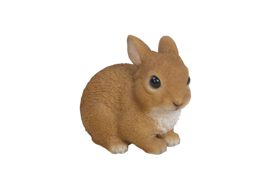 RABBIT SITTING SMALL