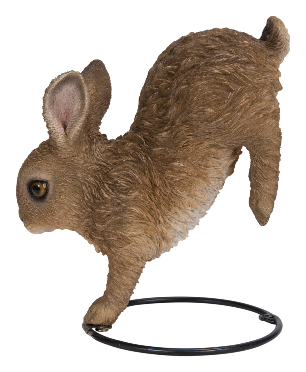 HARE CUB RUNNING