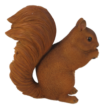 Load image into Gallery viewer, 87741-C - SQUIRREL-BROWN SQUIRREL EATING
