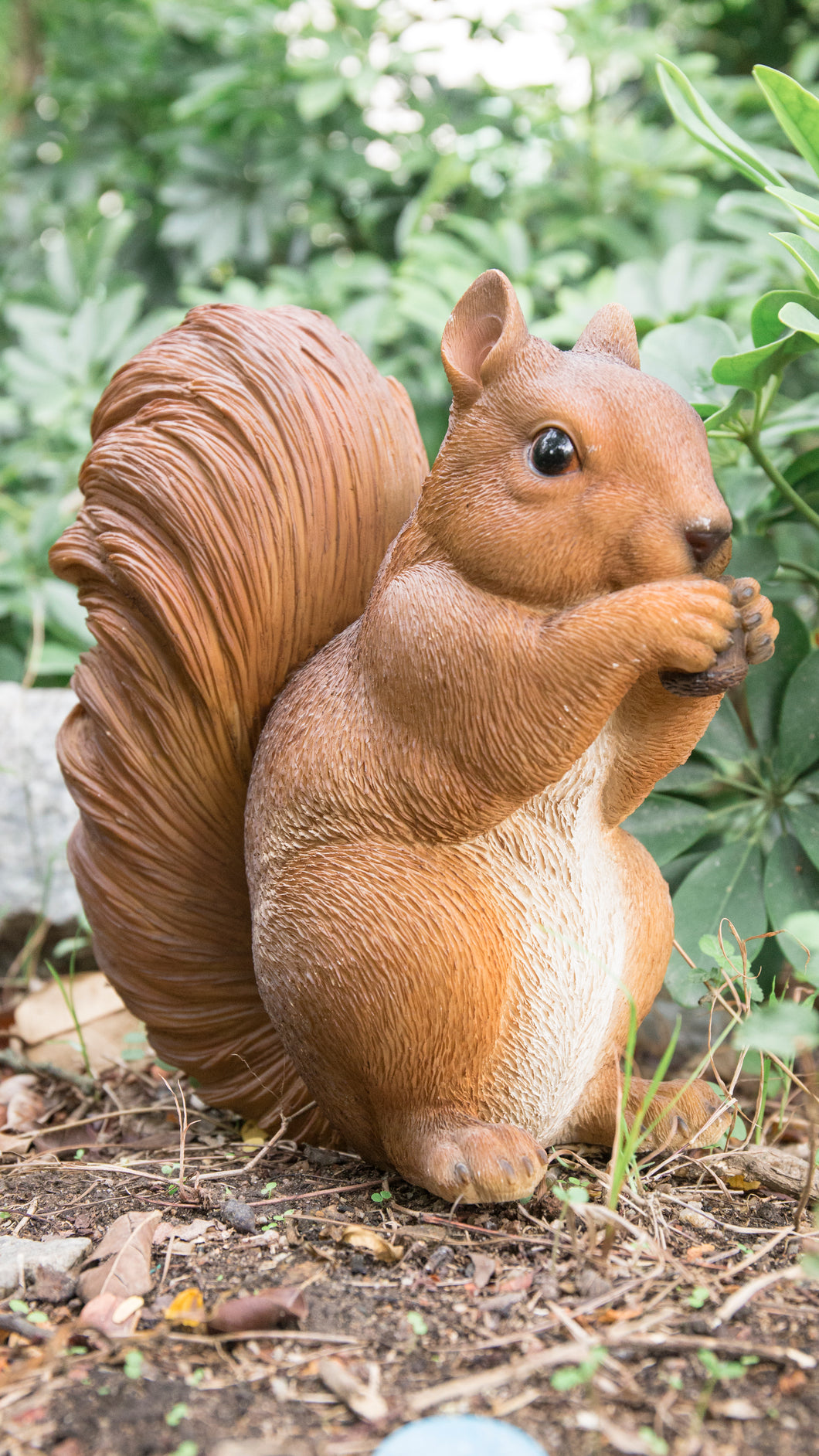 87741-C - SQUIRREL-BROWN SQUIRREL EATING