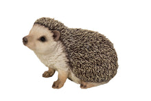 Load image into Gallery viewer, 87743-A - HEDGEHOG CRAWLING
