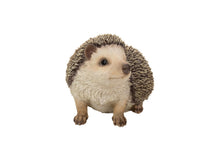 Load image into Gallery viewer, 87743-A - HEDGEHOG CRAWLING
