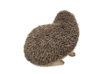 Load image into Gallery viewer, 87743-A - HEDGEHOG CRAWLING
