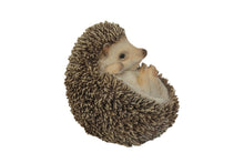 Load image into Gallery viewer, 87743-B - HEDGEHOG ON BACK
