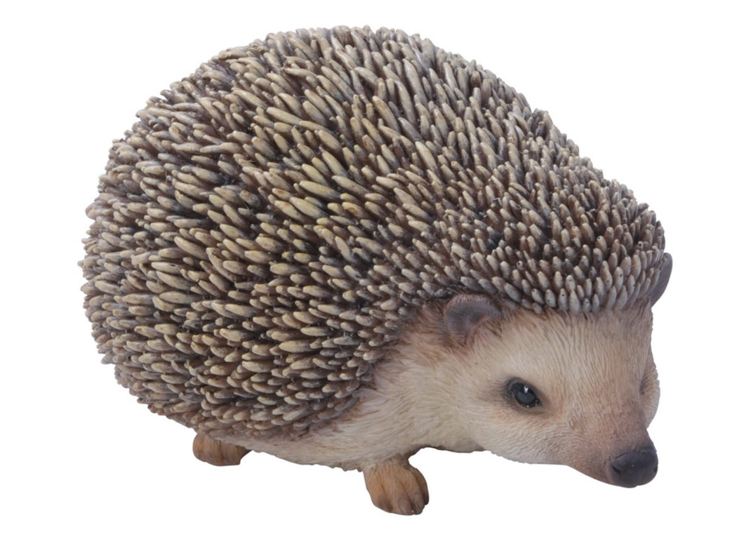 Sitting Hedgehog