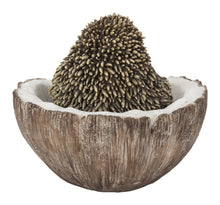 Load image into Gallery viewer, 87743-D - COCONUT HEDGEHOG
