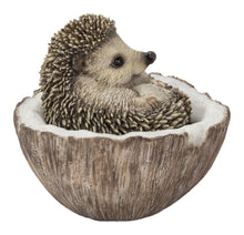 Load image into Gallery viewer, 87743-D - COCONUT HEDGEHOG
