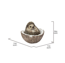 Load image into Gallery viewer, 87743-D - COCONUT HEDGEHOG
