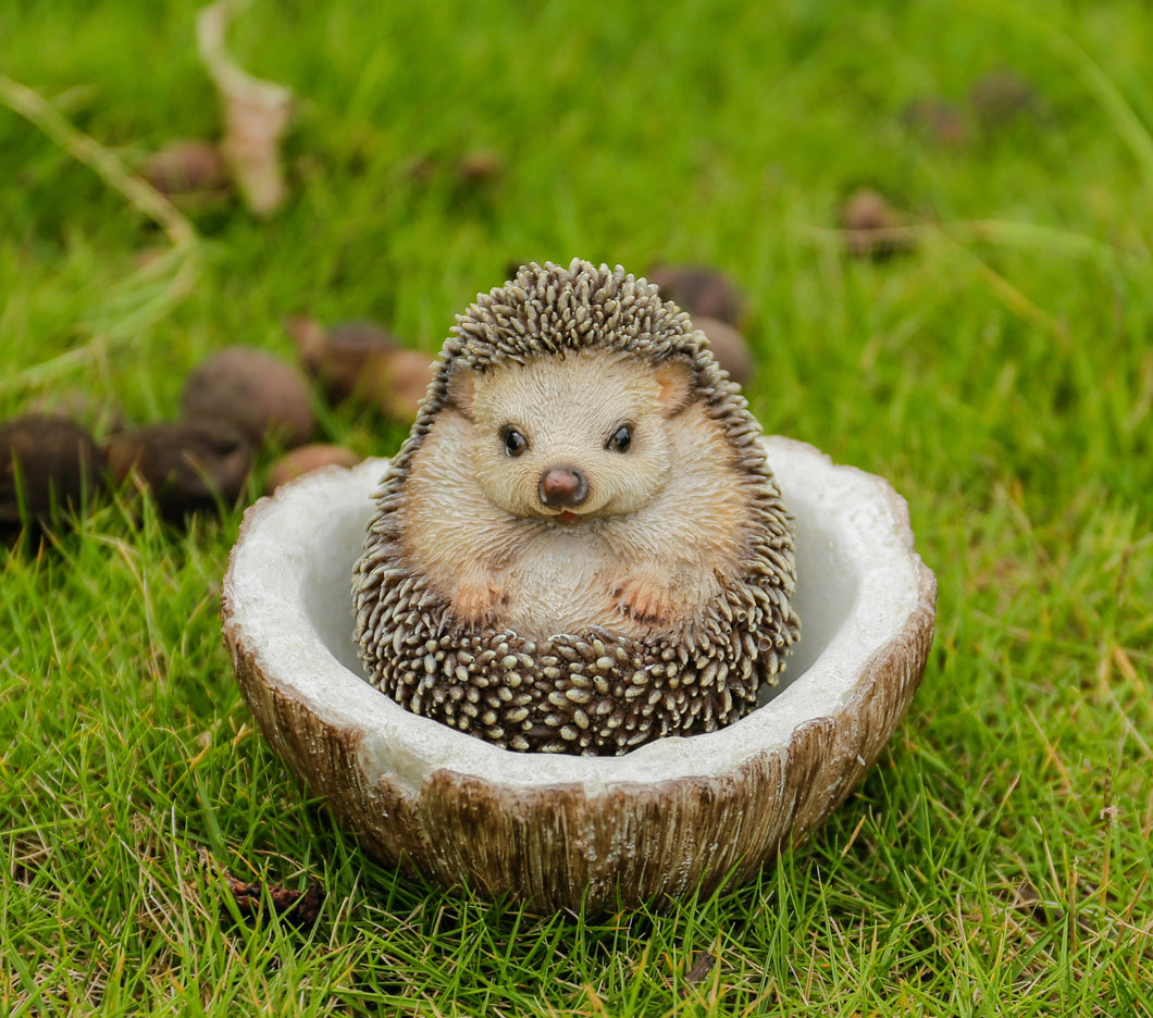 87743-D - COCONUT HEDGEHOG