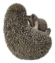 Load image into Gallery viewer, 87743-E - MOTHER &amp; BABY HEDGEHOGS ON BACK
